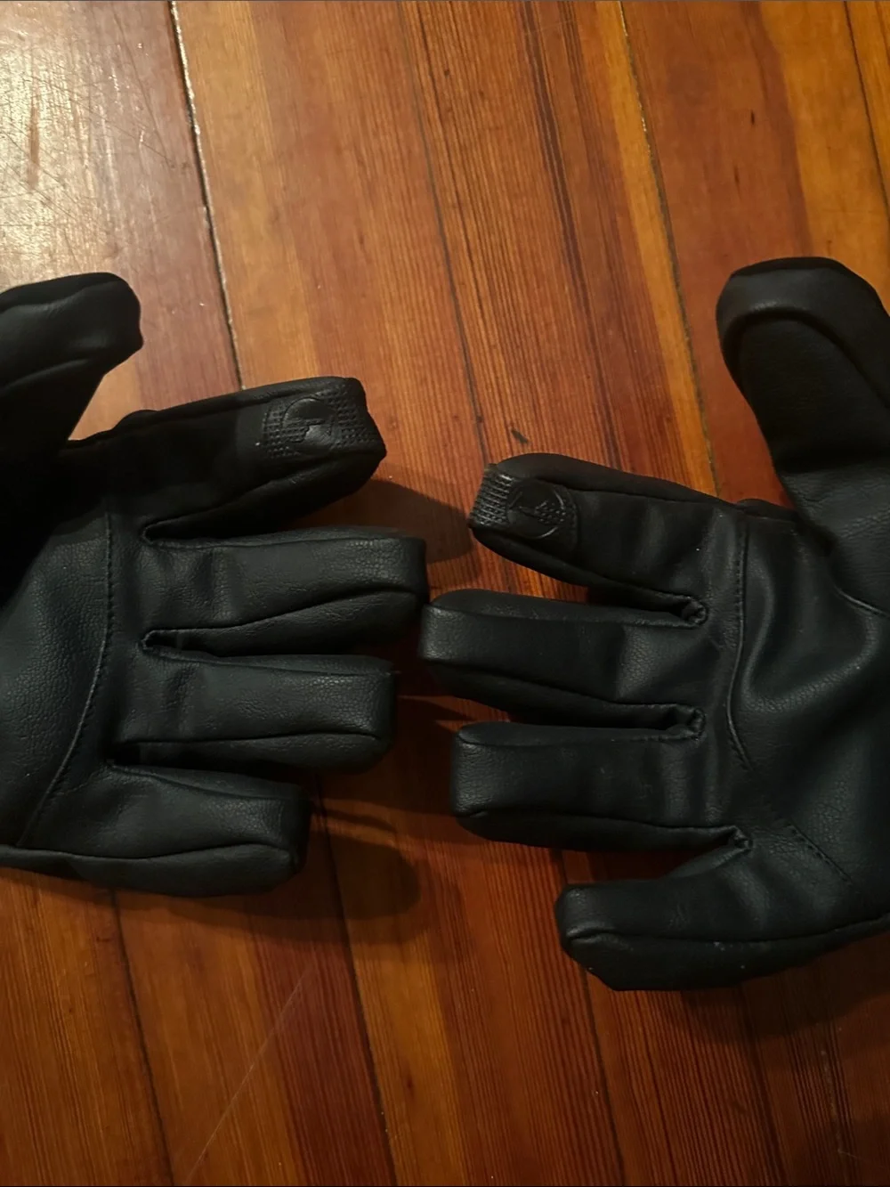 Ski gloves